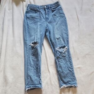 Madewell The Curvy Perfect Vintage Jean